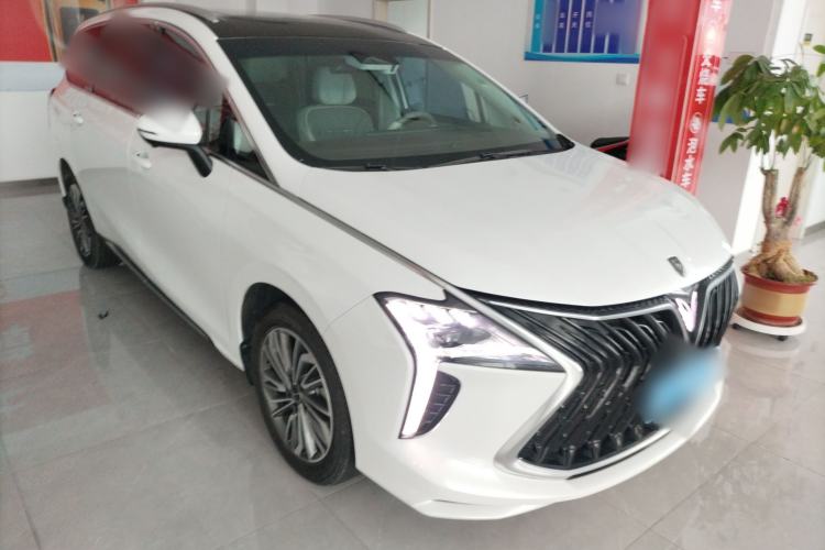 Used FORTHING Yacht 2024 1.5T DCT Guanhai Edition
