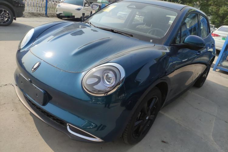 Used ORA Good Cat 2024 401 km Luxury Version
