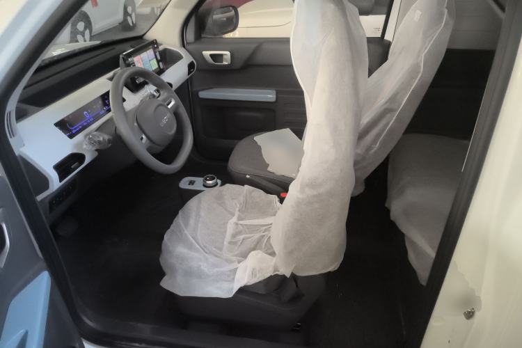 Used  Panda 2024 Panda Mini 200km Endurance Bear
