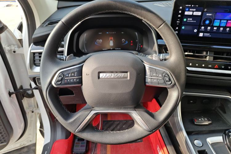 Used Haval H6 2021 National Trend Edition 1.5T Automatic Champion Version
