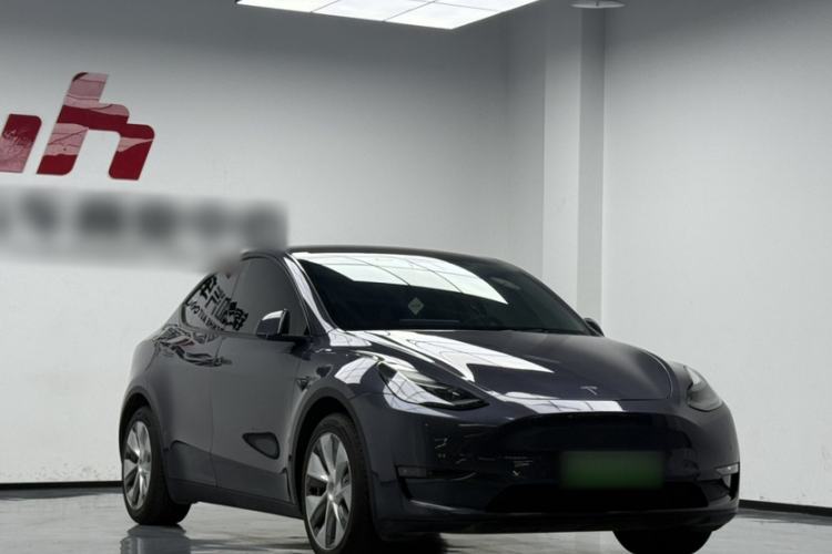Used Tesla Model Y 2021 Standard Range Rear-Wheel Drive Version
