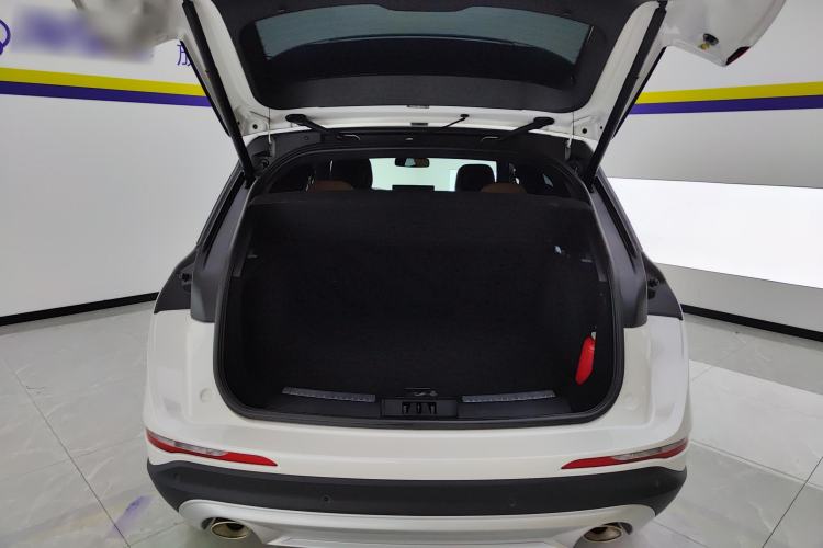 Used Lincoln Corsair 2022 2.0T Two-Wheel Drive Luxury Edition
