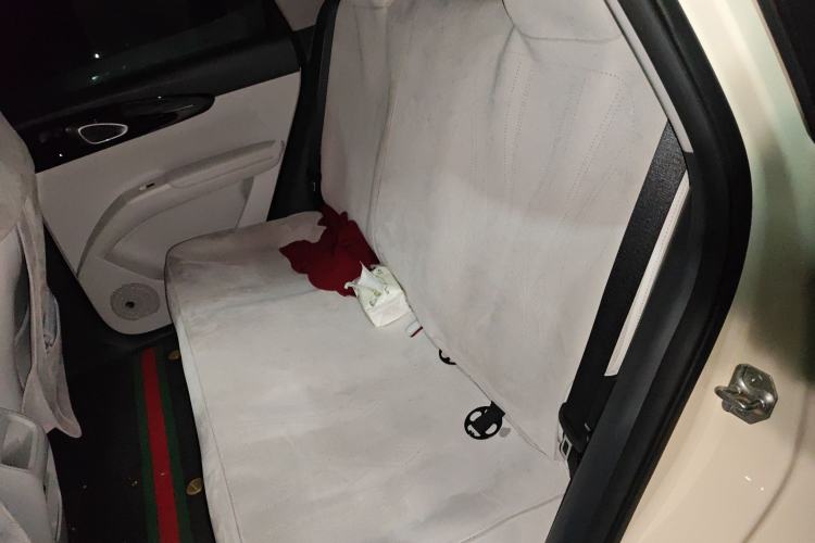 Used  Geome 2025 310km Dream Edition
