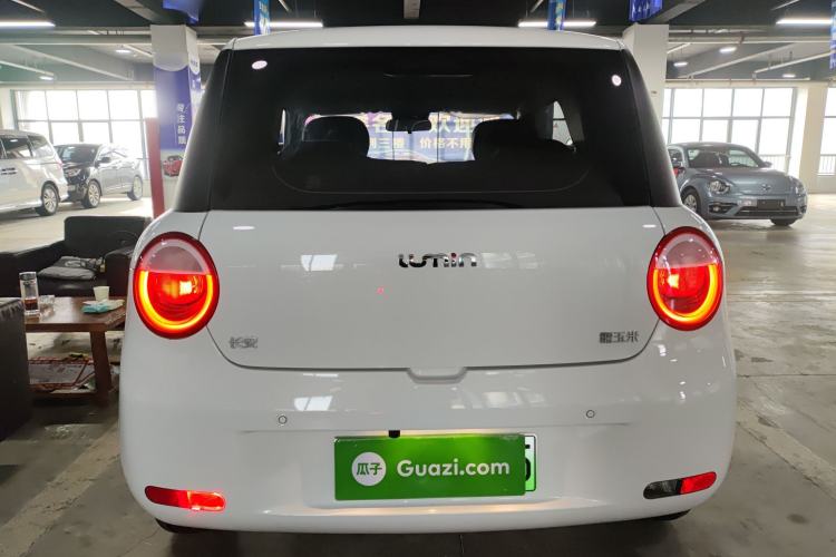 Used  Lumin 2023 205km Xiangqin Version