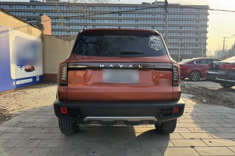 Used Haval DARGO 2024 2.0T DCT Chinese Rural Dog Edition