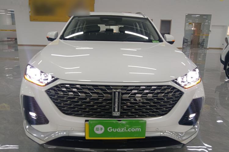 Used Wey Latte DHT-PHEV 2022 1.5T Four-Wheel Drive Extra-Large Version