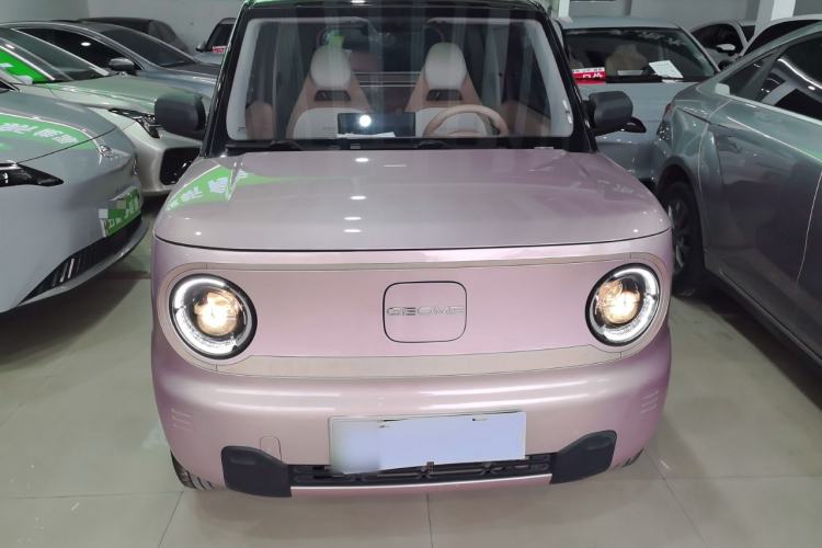 Used  Panda 2023 Panda Mini 200km Dynamic Bear
