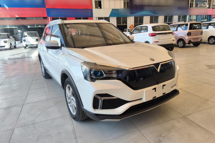 Used Venucia T60EV 2020 AI Enjoyment Model