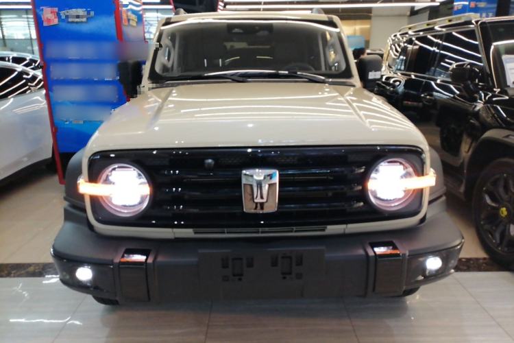 Used Tank 300 New Energy 2025 Hi4-T
