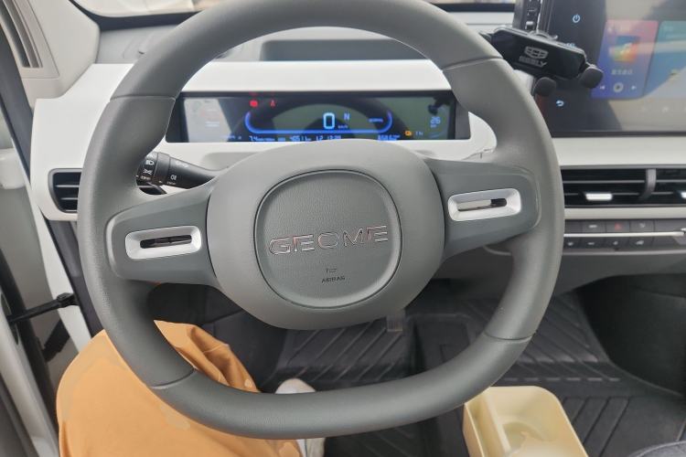 Used  Panda 2023 Panda Mini 200km Dynamic Bear
