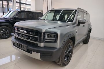Used Haval Raptor New Energy 