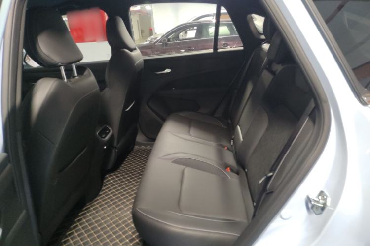 Used Livan Livan 7 2024 605 km Glory Edition