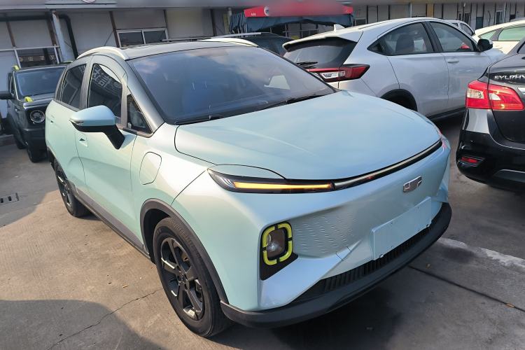 Used Geometry E Firefly 2022 401 km Linglong Tiger 4 Seats