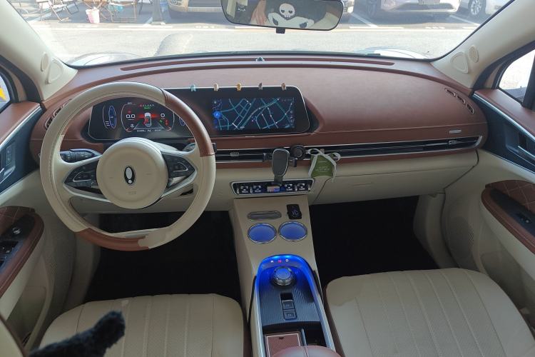 Used ORA Good Cat 2022 Morandi Edition 400km Standard Range Luxury Version Lithium Iron Phosphate
