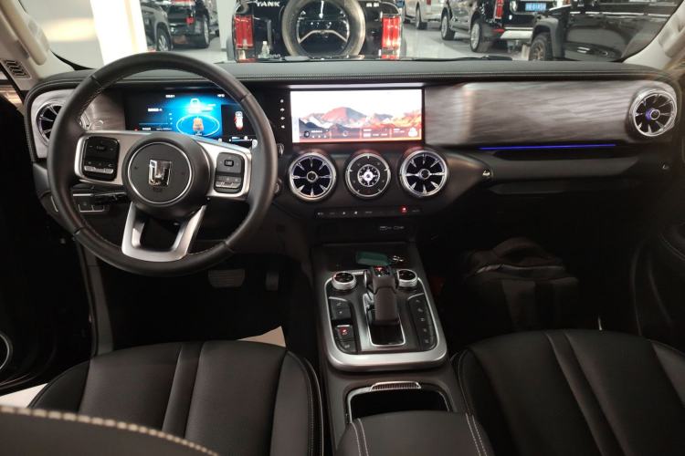 Used Tank 300 2024 2.0T Conqueror
