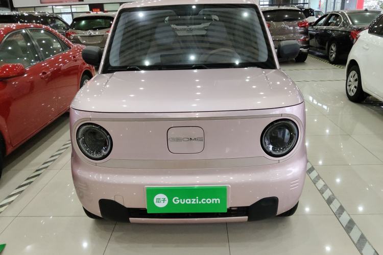 Used  Panda 2023 Panda Mini 200km Endurance Bear
