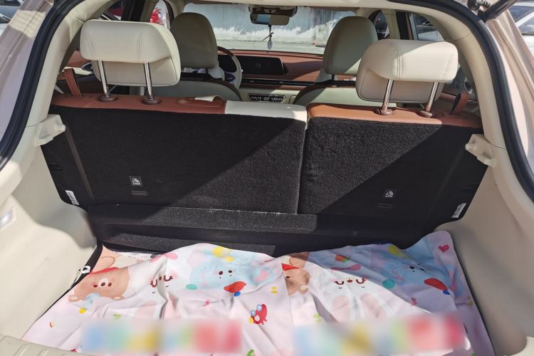 Used ORA Good Cat 2023 401 km Standard Range Premium Version Lithium Iron Phosphate
