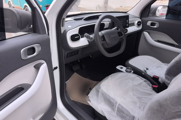 Used  Panda 2025 210 km – Yuanqi Bear