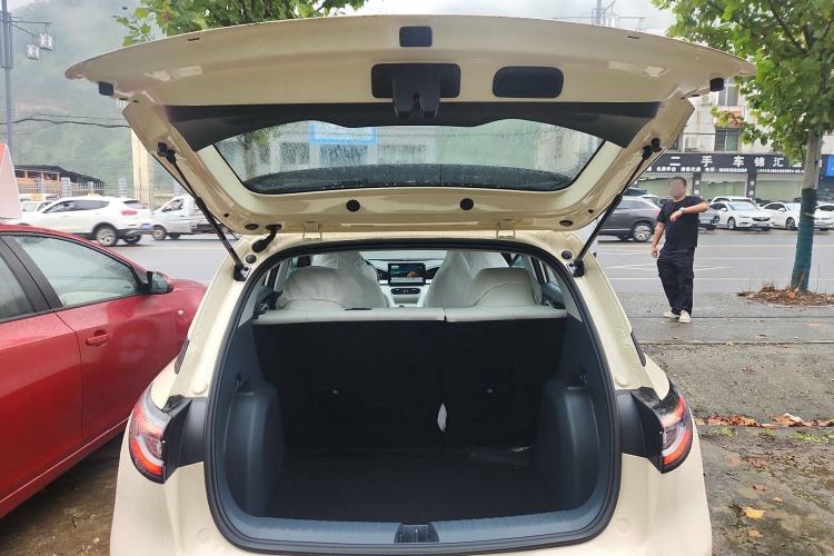 Used  Geome 2025 310km Youth Edition
