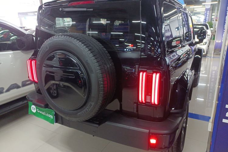 Used Tank 300 2024 2.0T Crosser