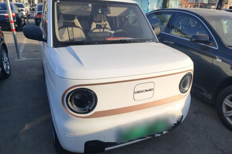 Used  Panda 2024 Panda Mini 200km Longteng PRO Edition
