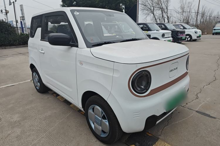Used  Panda 2024 Panda Mini 200km Endurance Bear
