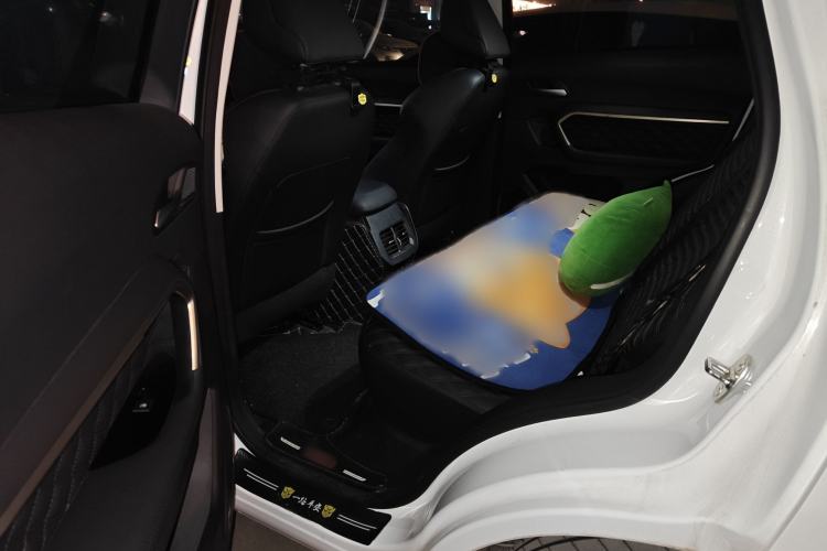 Used Haval H6 2021 National Trend Edition 1.5T Automatic Urban Version
