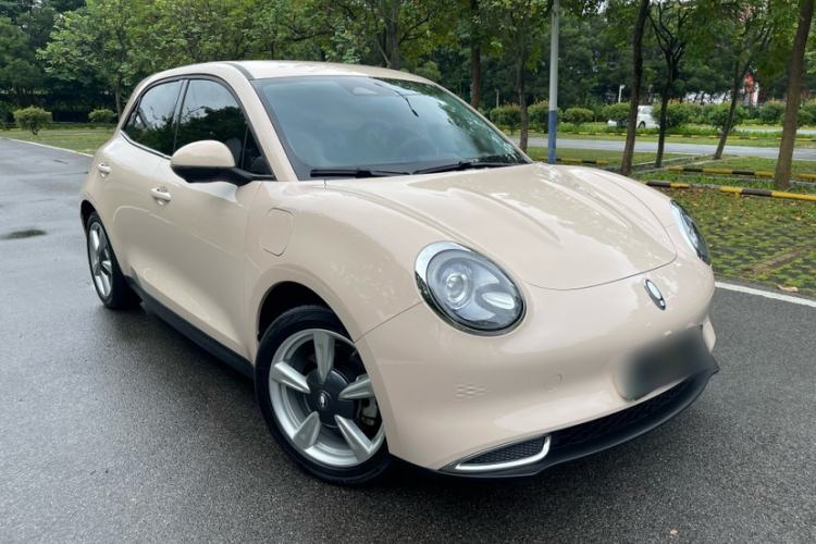 Used ORA Good Cat 2023 401 km Standard Range Luxury Version Lithium Iron Phosphate
