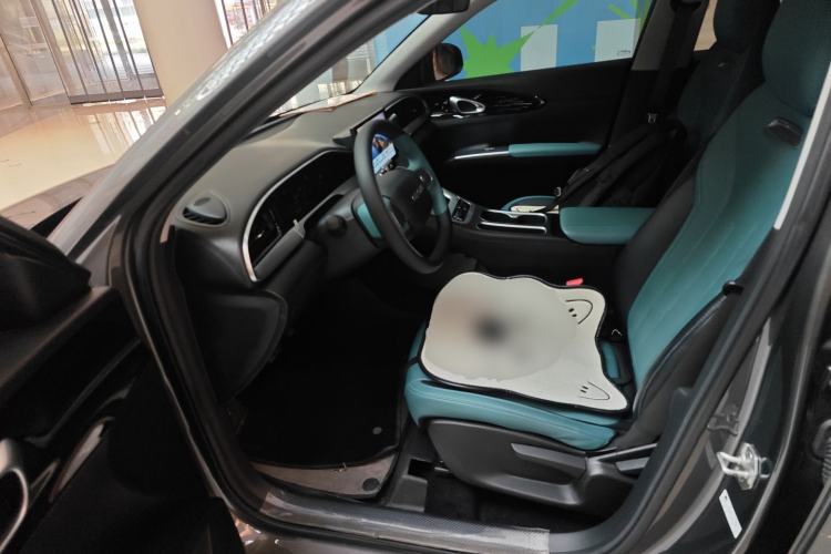 Used  Geome 2025 310km Youth Edition