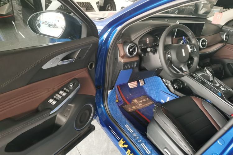 Used Wey VV5 2020 2.0T Two-Wheel Drive Pioneer