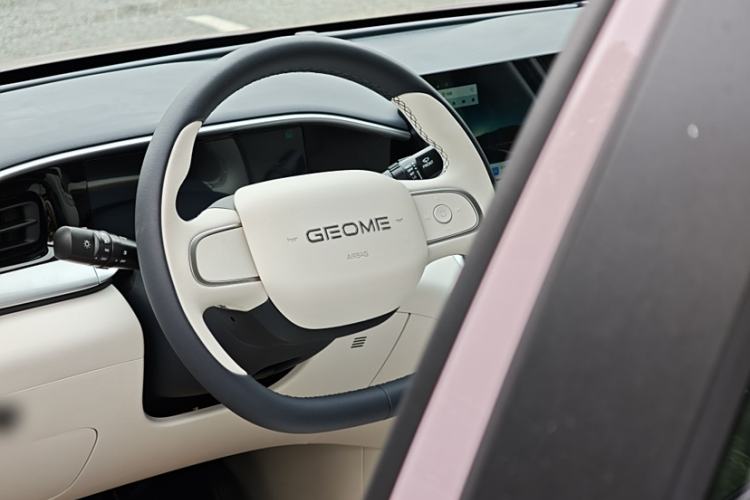 Used  Geome 2025 310km Youth Edition
