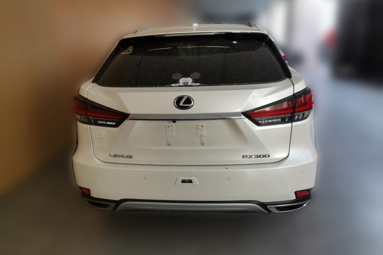 Used Lexus RX 2020 300 Two-Wheel Drive Elite Edition China VI Standard
