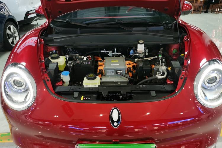 Used ORA Good Cat 2021 400km Standard Range Athena Edition Lithium-Ion Battery
