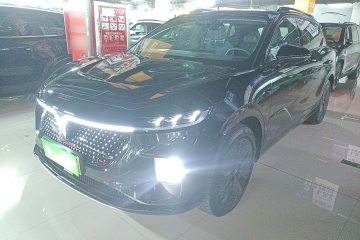 Used VOYAH COURAGE 2024 Four-Wheel Drive Global Edition