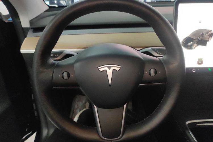 Used Tesla Model Y 2021 Standard Range Rear-Wheel Drive Version
