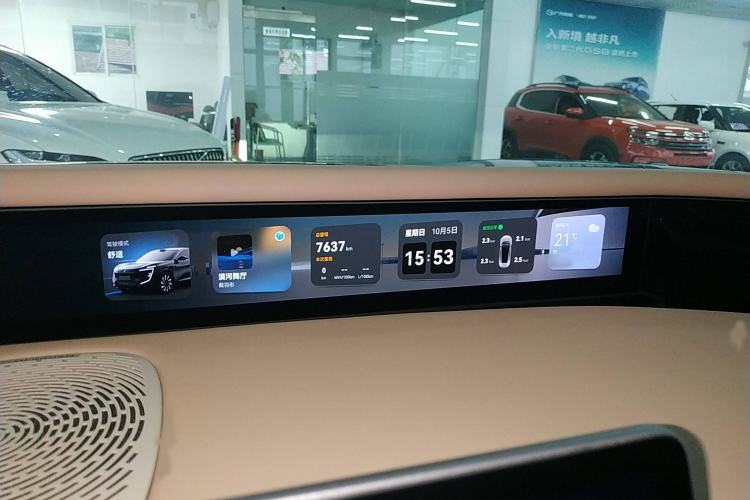 Used  07 2024 Max Extended-Range Edition
