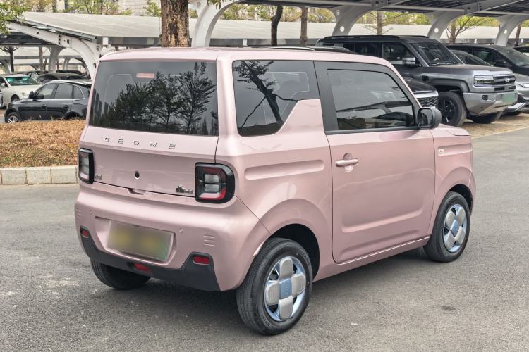 Used  Panda 2023 Panda Mini 200km Endurance Bear
