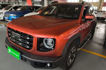 Used Haval DARGO 2021 2.0T DCT 4x4 Chinese Rural Dog Edition