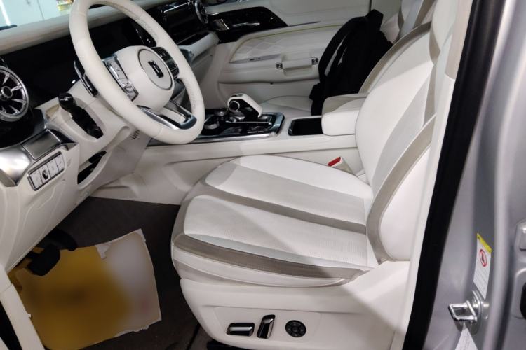 Used  Tank 300 2021 2.0T Cyber Tank
