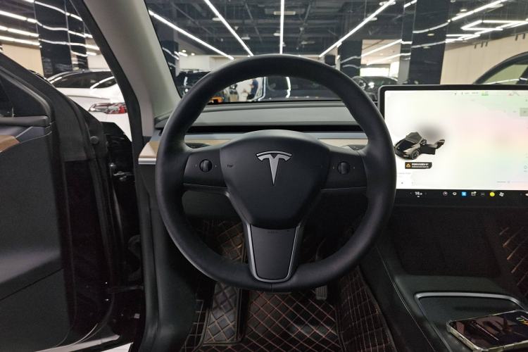Used Tesla Model Y 2021 Standard Range Rear-Wheel Drive Version
