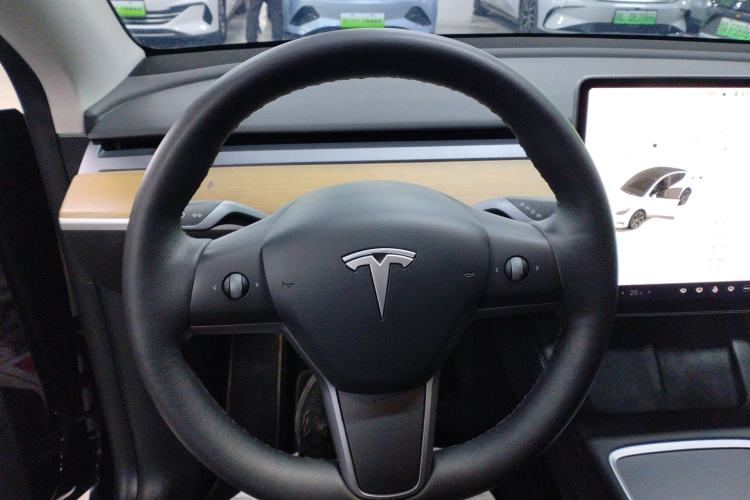 Used Tesla Model Y 2021 Standard Range Rear-Wheel Drive Version
