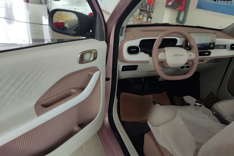 Used  Panda 2025 210 km – Yuanqi Bear