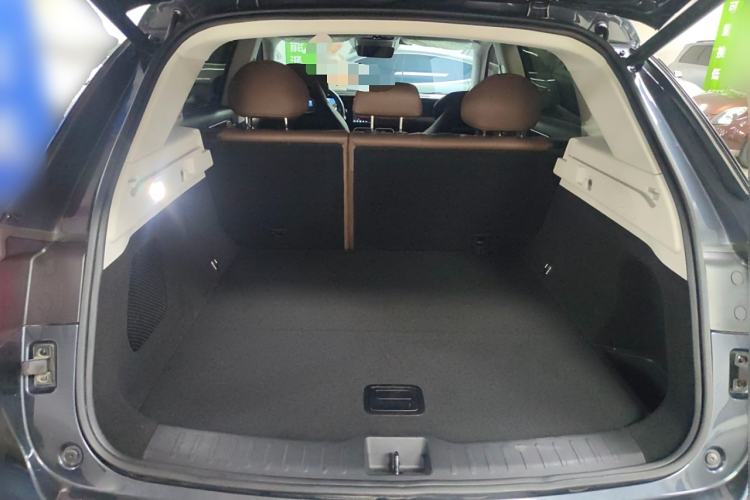 Used Leapmotor C11 2023 Range-Extended 300 Comfort Edition
