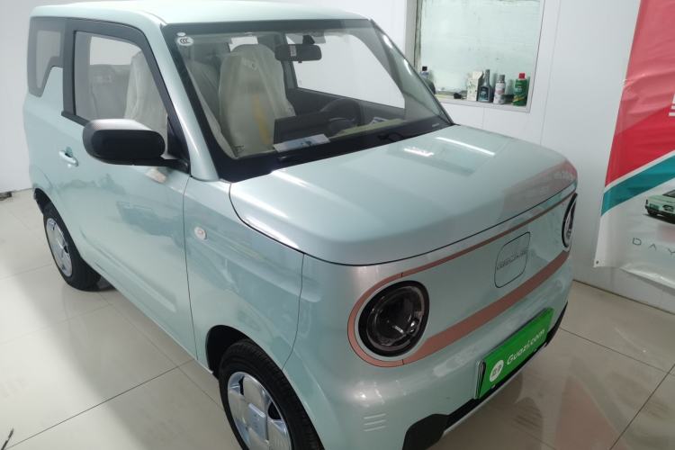 Used  Panda 2024 Panda Mini 200km Endurance Bear
