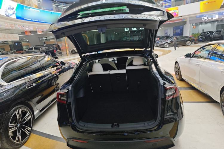 Used Tesla Model Y 2021 Standard Range Rear-Wheel Drive Version
