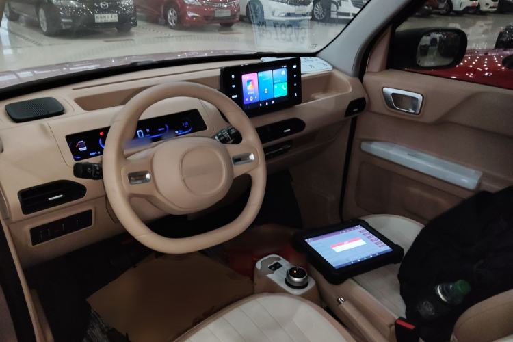 Used  Panda 2023 Panda Mini 200km Endurance Bear
