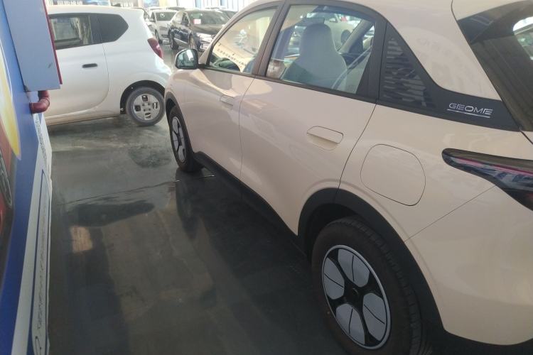 Used  Geome 2025 310km Youth Edition
