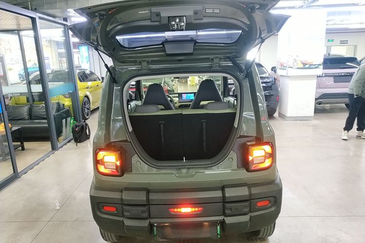 Used  Panda 2024 200km Panda Rider
