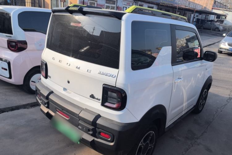 Used  Panda 2024 200km Panda Rider