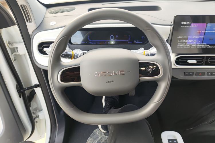 Used  Panda 2025 210 km – Yuanqi Bear
